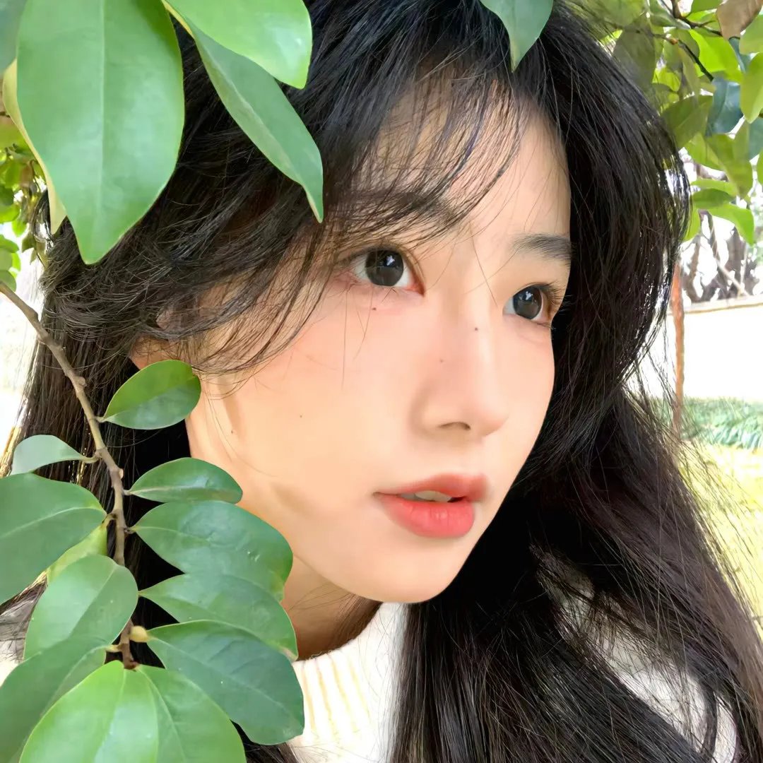 英俊的哈利